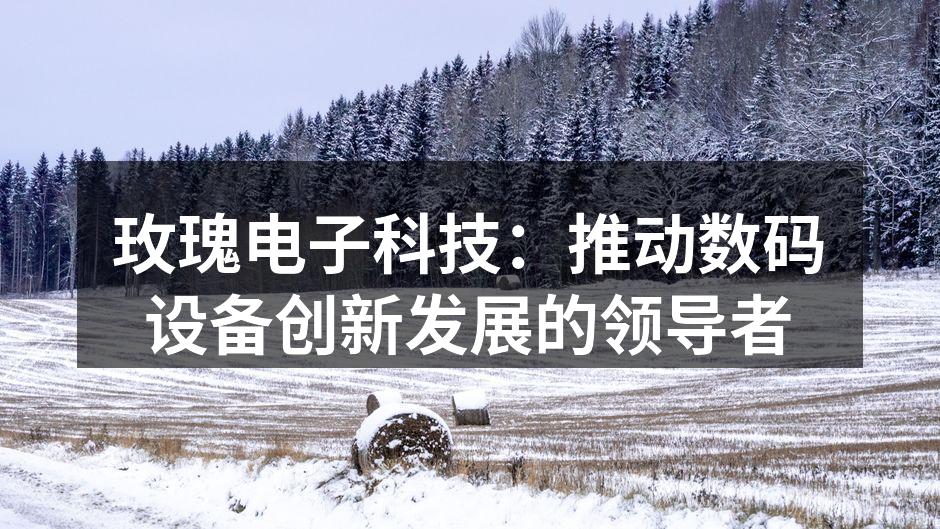 玫瑰电子科技：推动数码设备创新发展的领导者